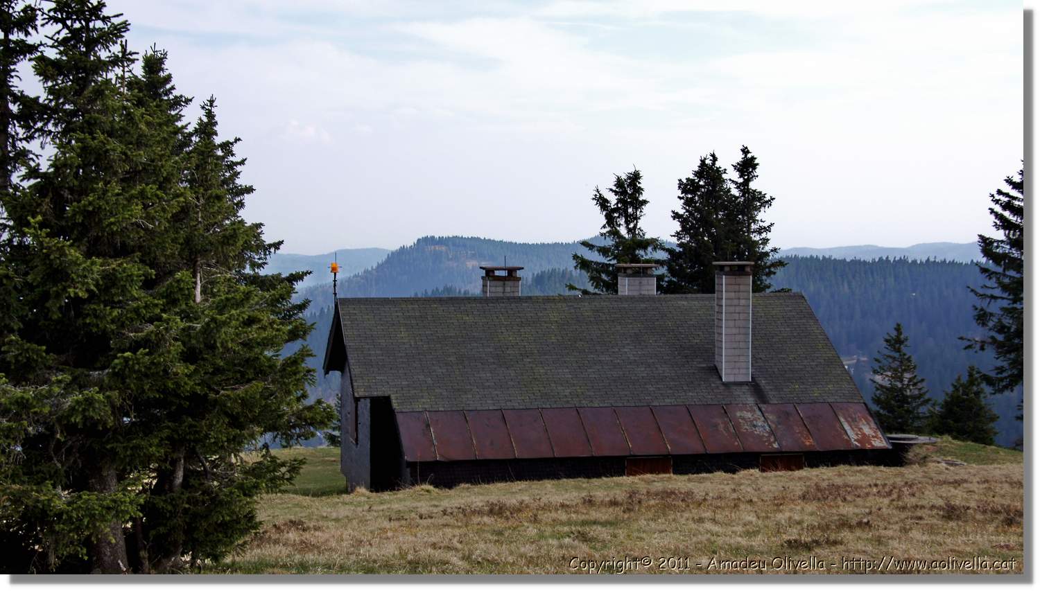 Feldberg_18.jpg