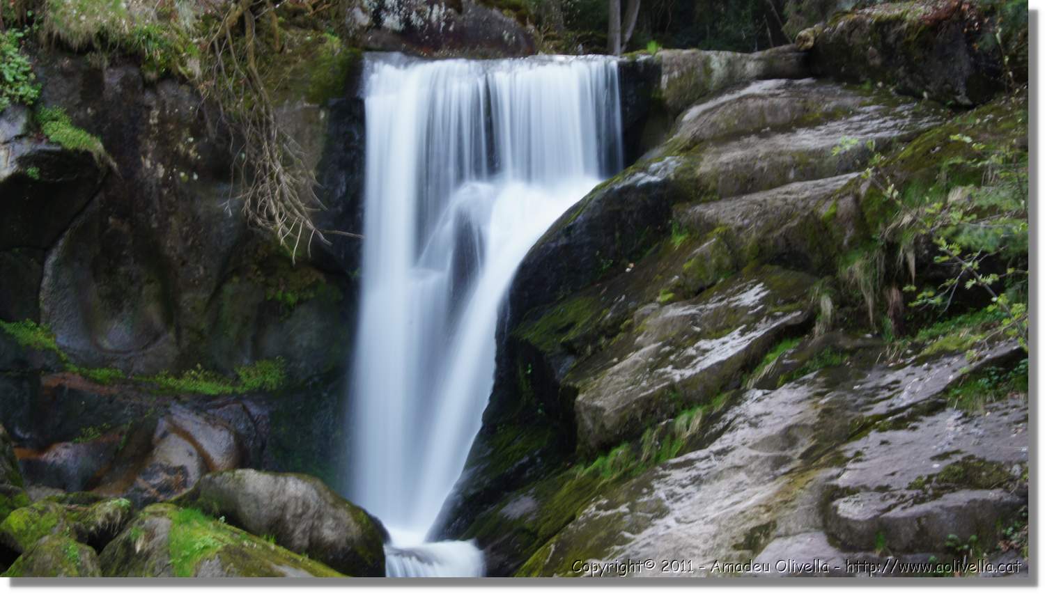 Triberg_10.jpg