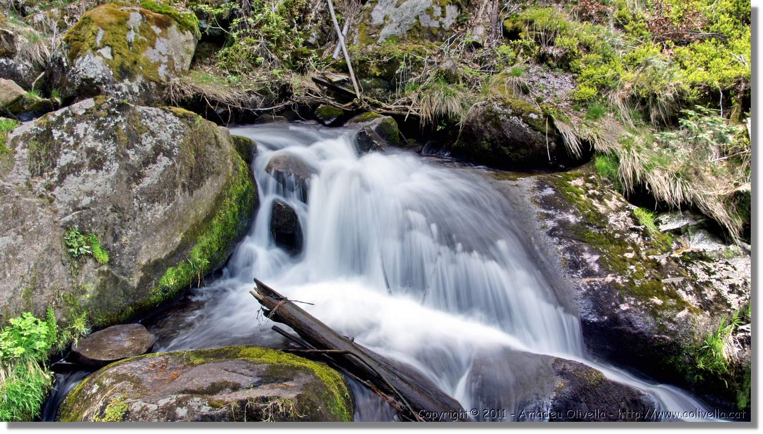 Triberg_19.jpg