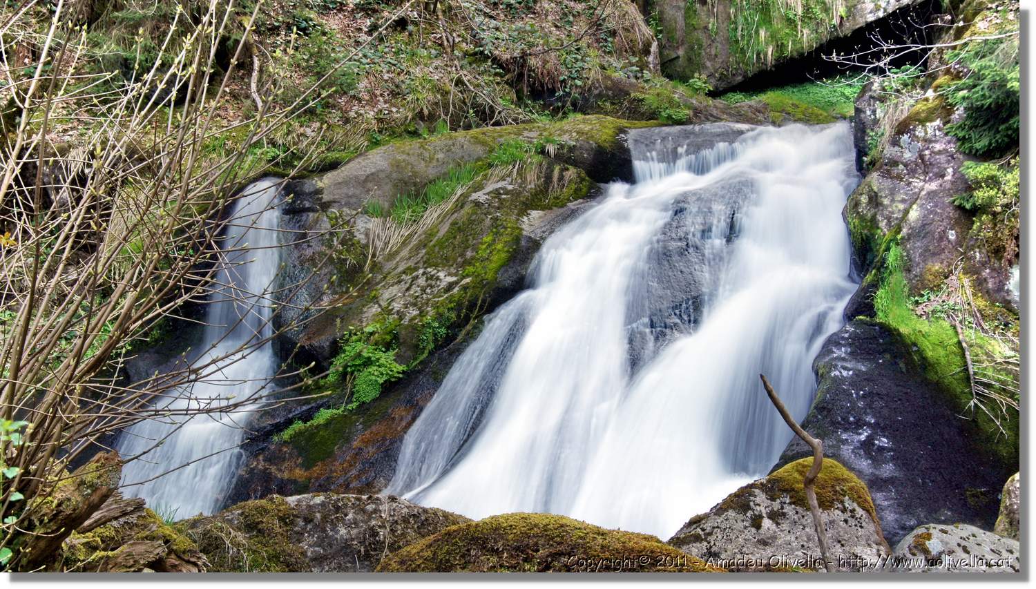 Triberg_20.jpg