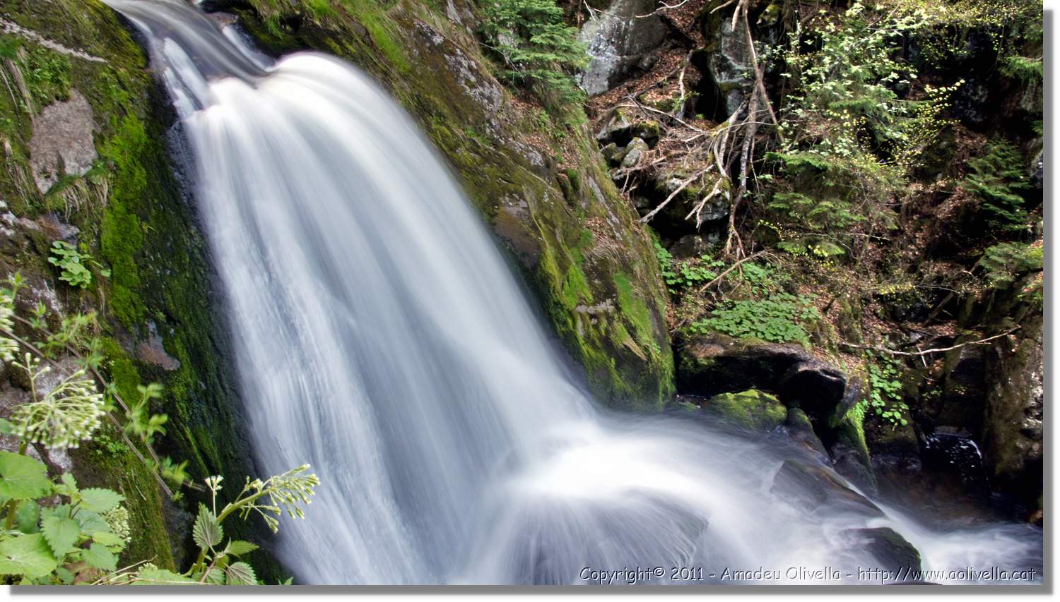 Triberg_26.jpg