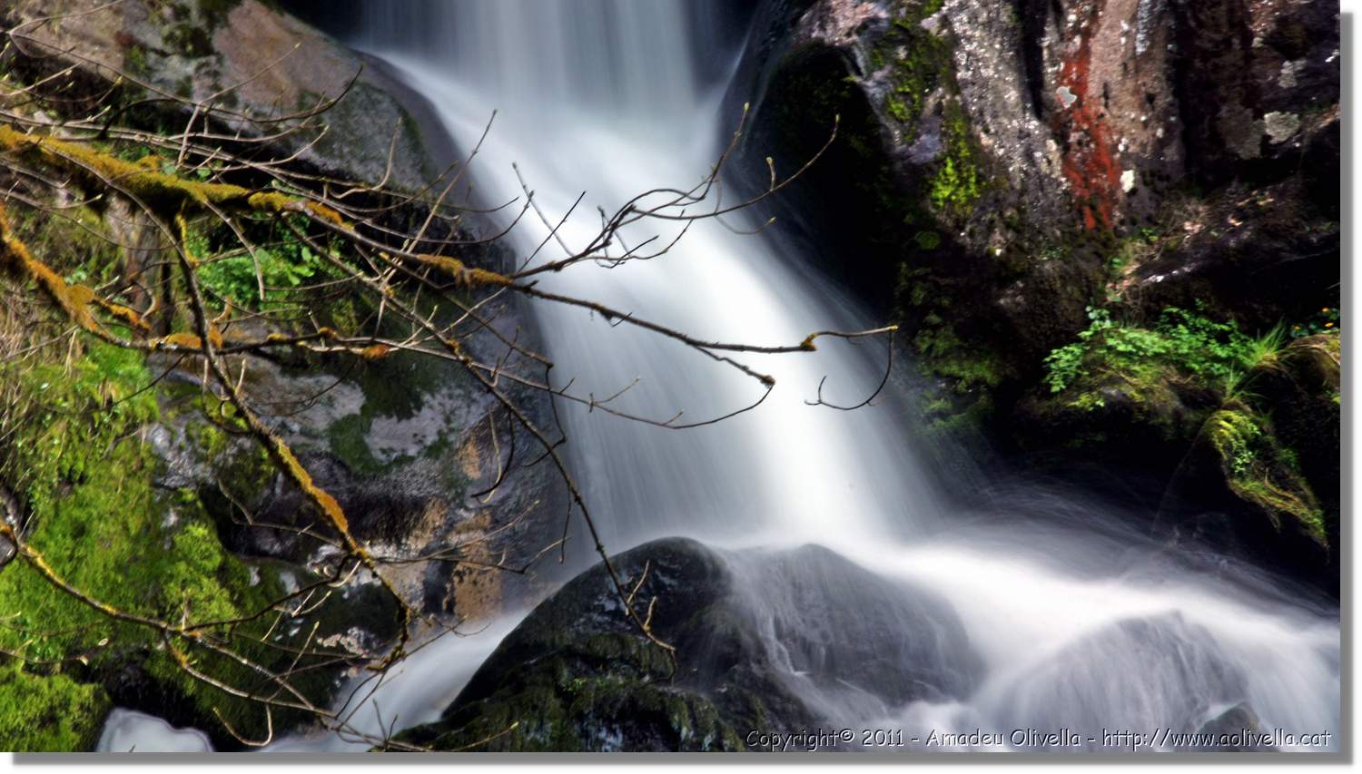 Triberg_35.jpg