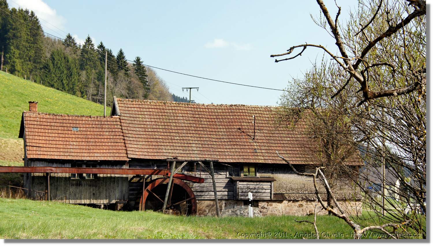 Schwarzwald_029.jpg