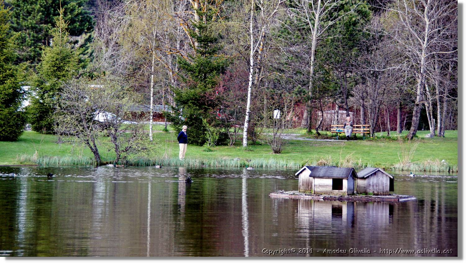 Schwarzwald_070.jpg