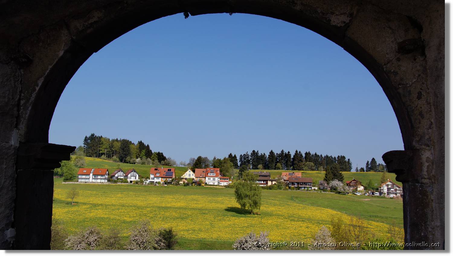 Schwarzwald_104.jpg