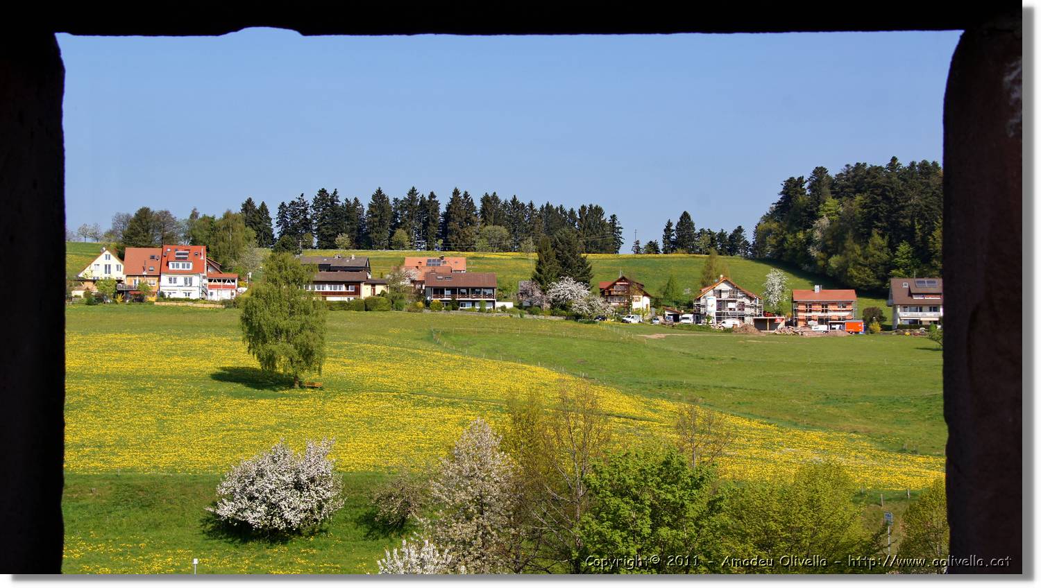 Schwarzwald_105.jpg