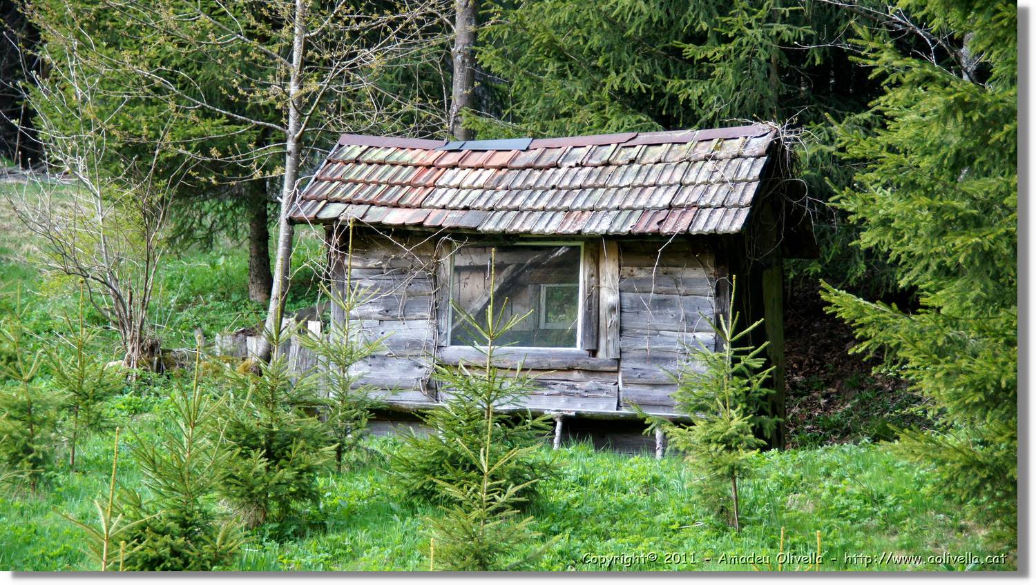 Schwarzwald_114.jpg