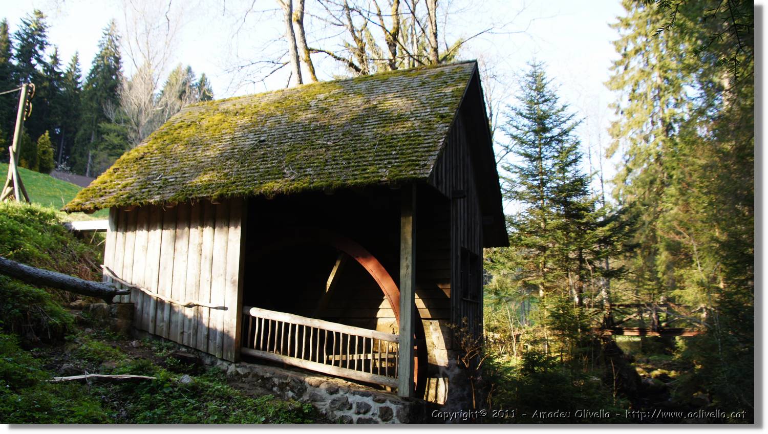 Schwarzwald_121.jpg