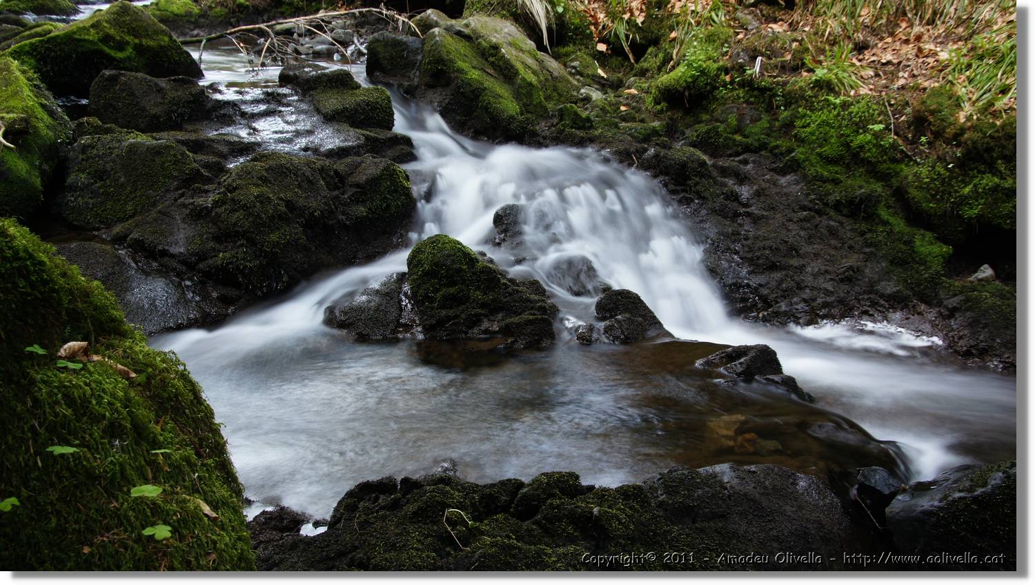 Schwarzwald_133.jpg