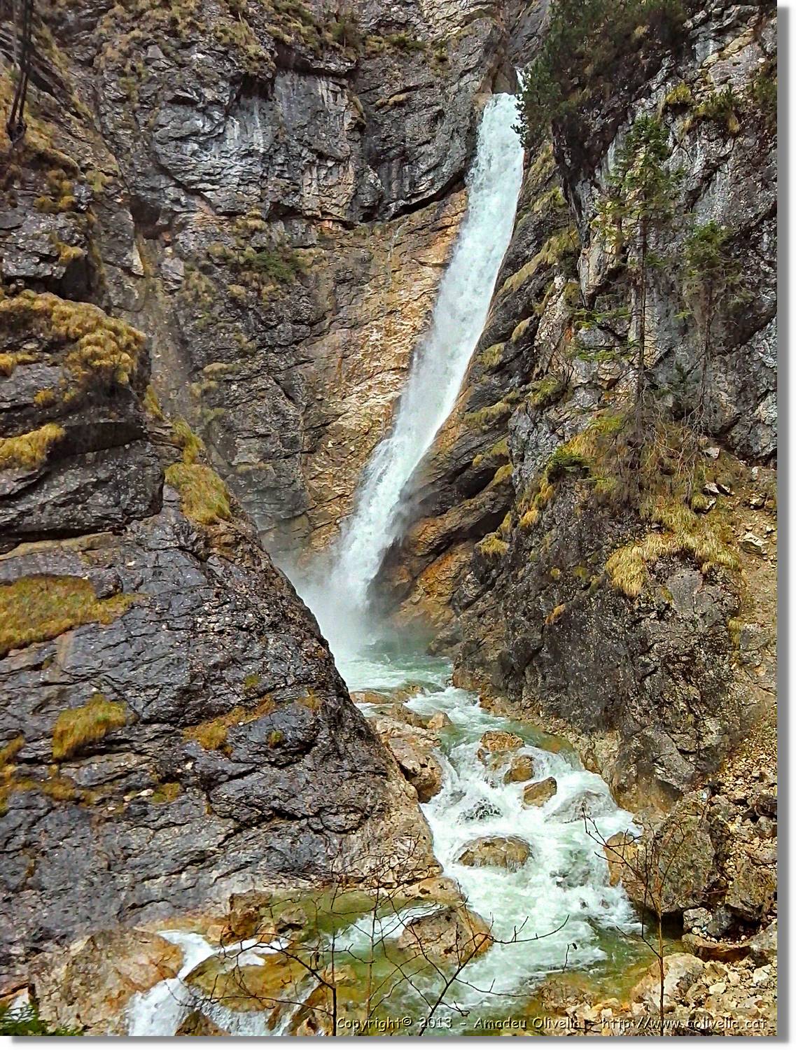Neuschwanstein_47.jpg