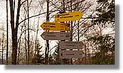 Neuschwanstein_41.jpg