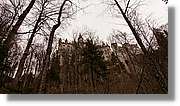 Neuschwanstein_50.jpg