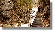 Neuschwanstein_56.jpg