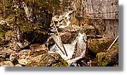 Neuschwanstein_58.jpg