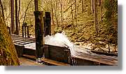 Neuschwanstein_59.jpg