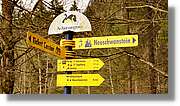Neuschwanstein_62.jpg