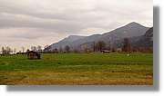 Neuschwanstein_80.jpg