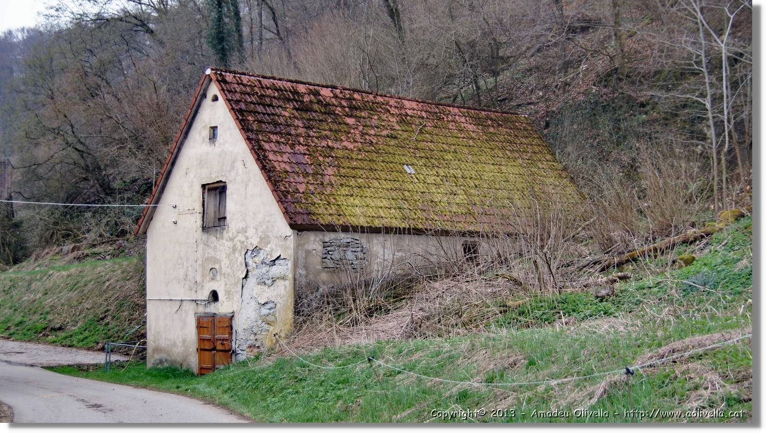 OBK_011.jpg