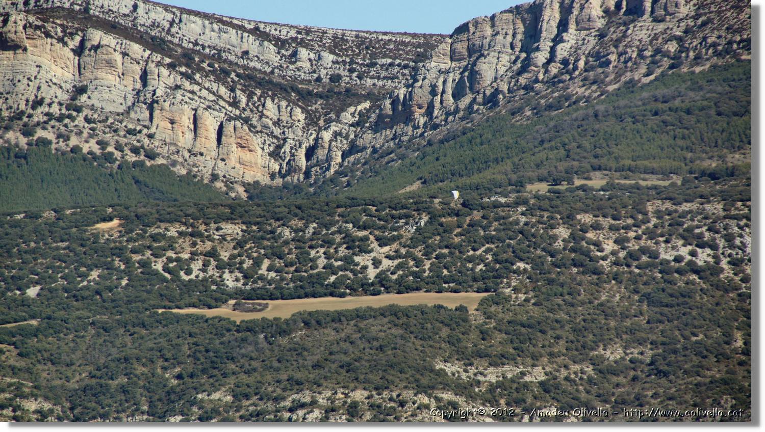 Avellanes_061.jpg