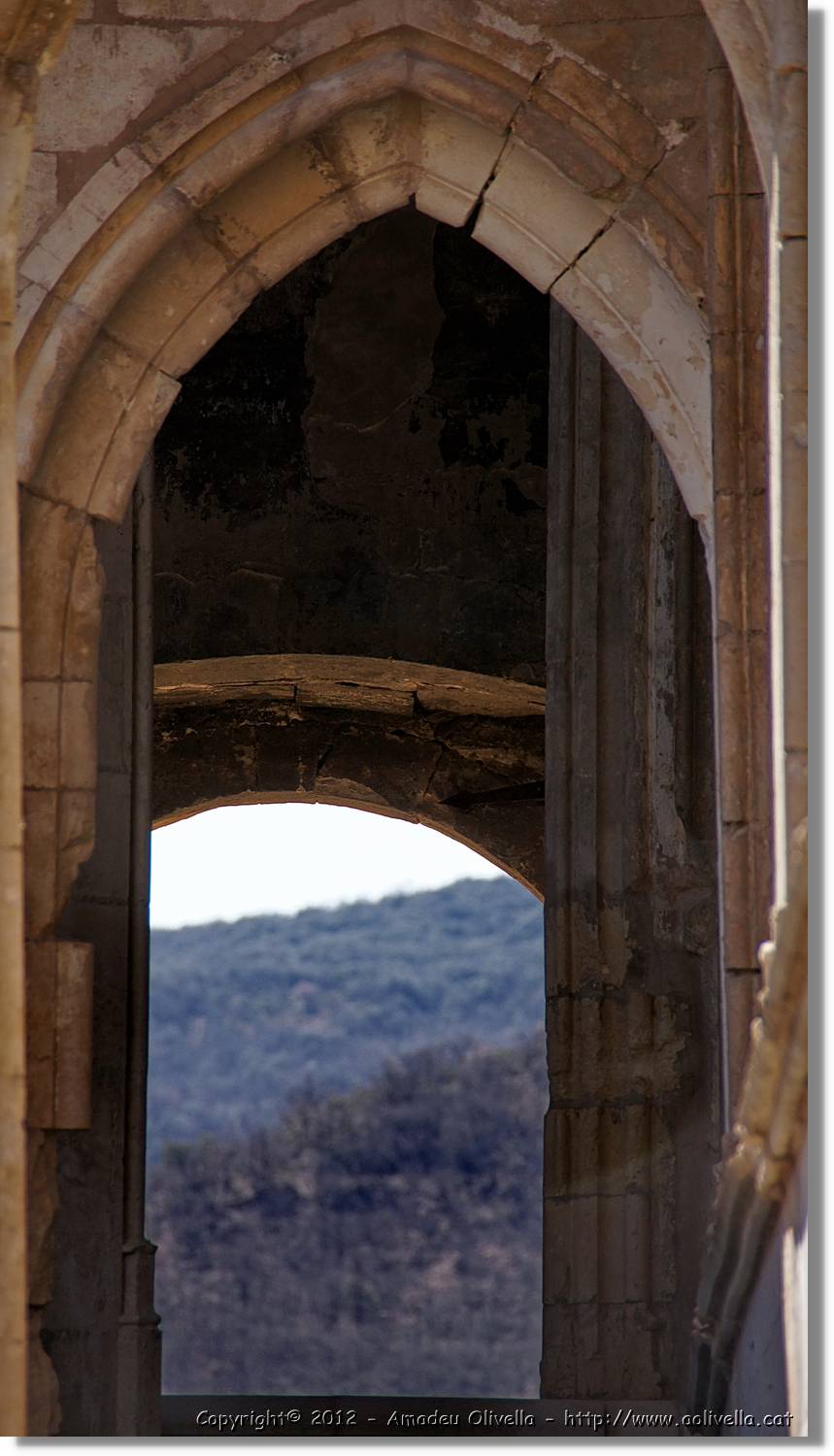 Avellanes_074.jpg