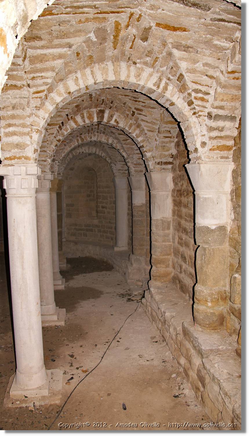 Avellanes_116.jpg