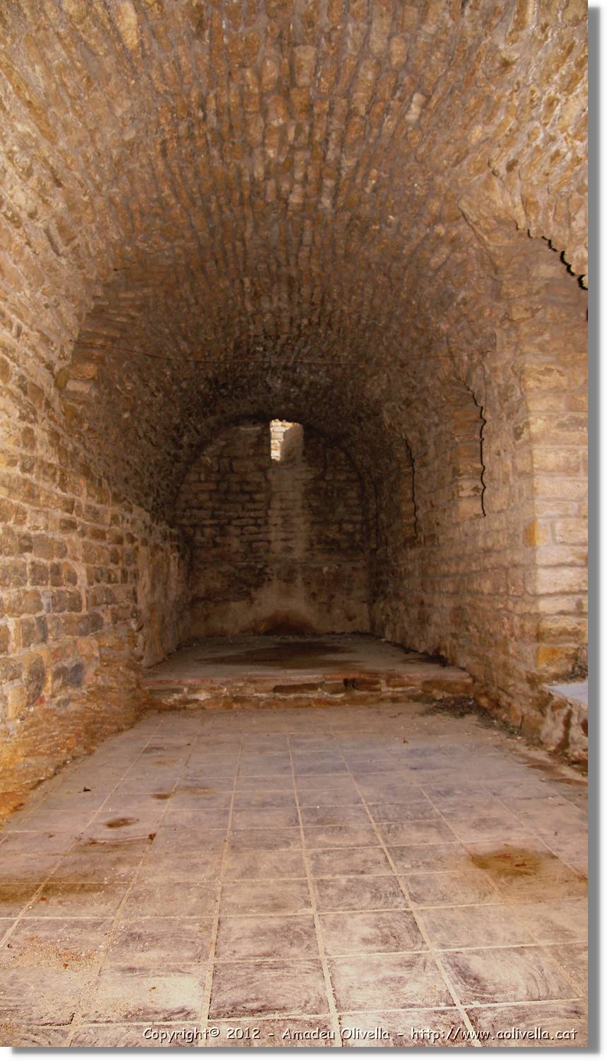 Avellanes_119.jpg