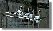 Bruges_006.jpg