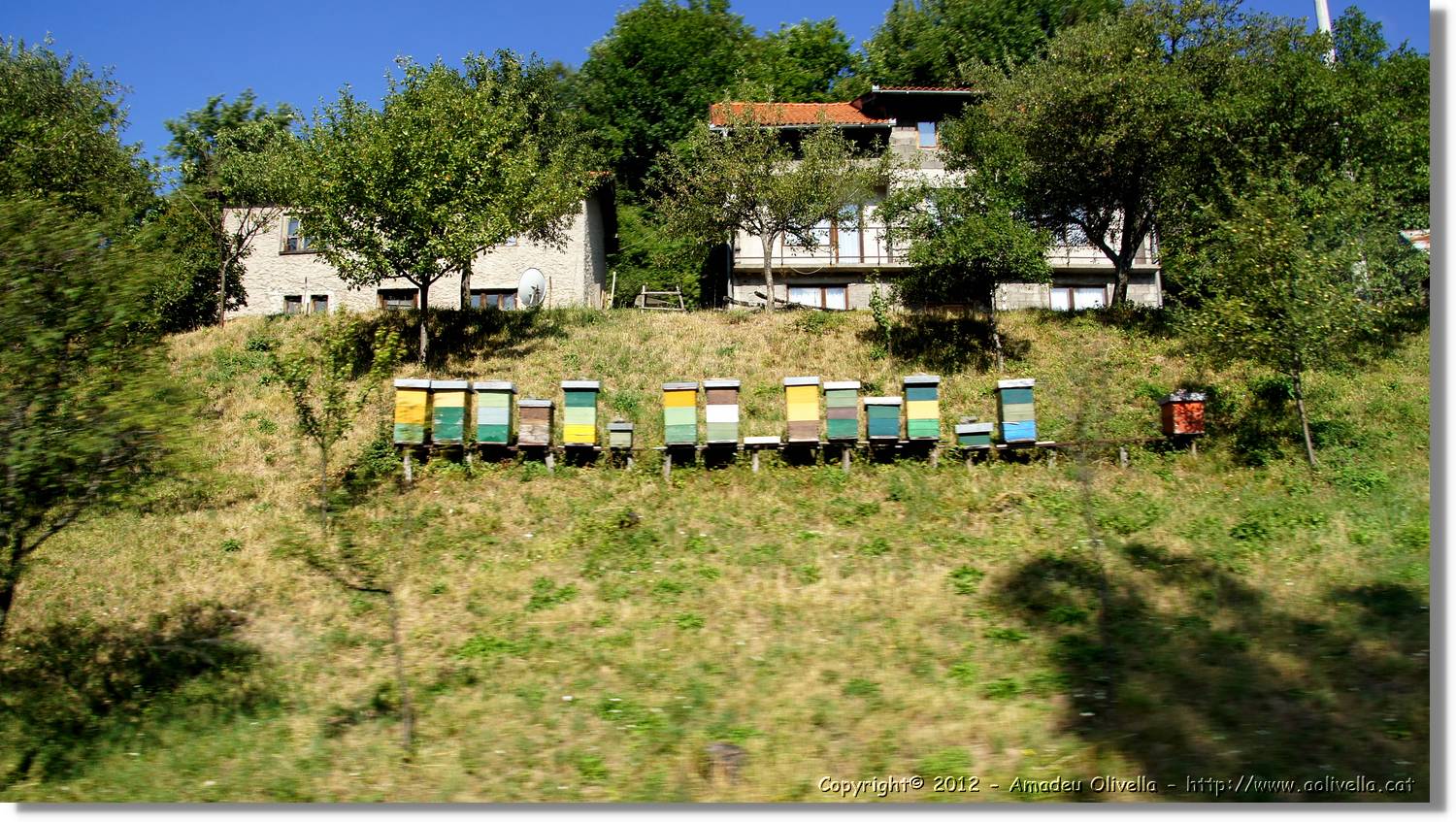 Bosnia_204.jpg