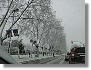 Nevada_010.jpg
