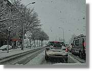 Nevada_016.jpg