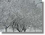 Nevada_018.jpg