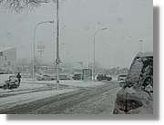 Nevada_021.jpg