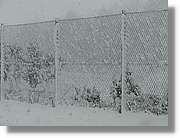Nevada_027.jpg
