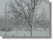 Nevada_028.jpg