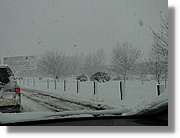 Nevada_029.jpg
