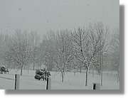 Nevada_031.jpg