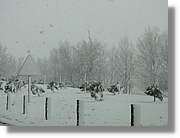 Nevada_036.jpg