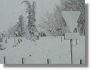 Nevada_037.jpg