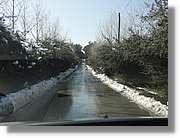 Nevada_056.jpg