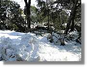 Nevada_059.jpg