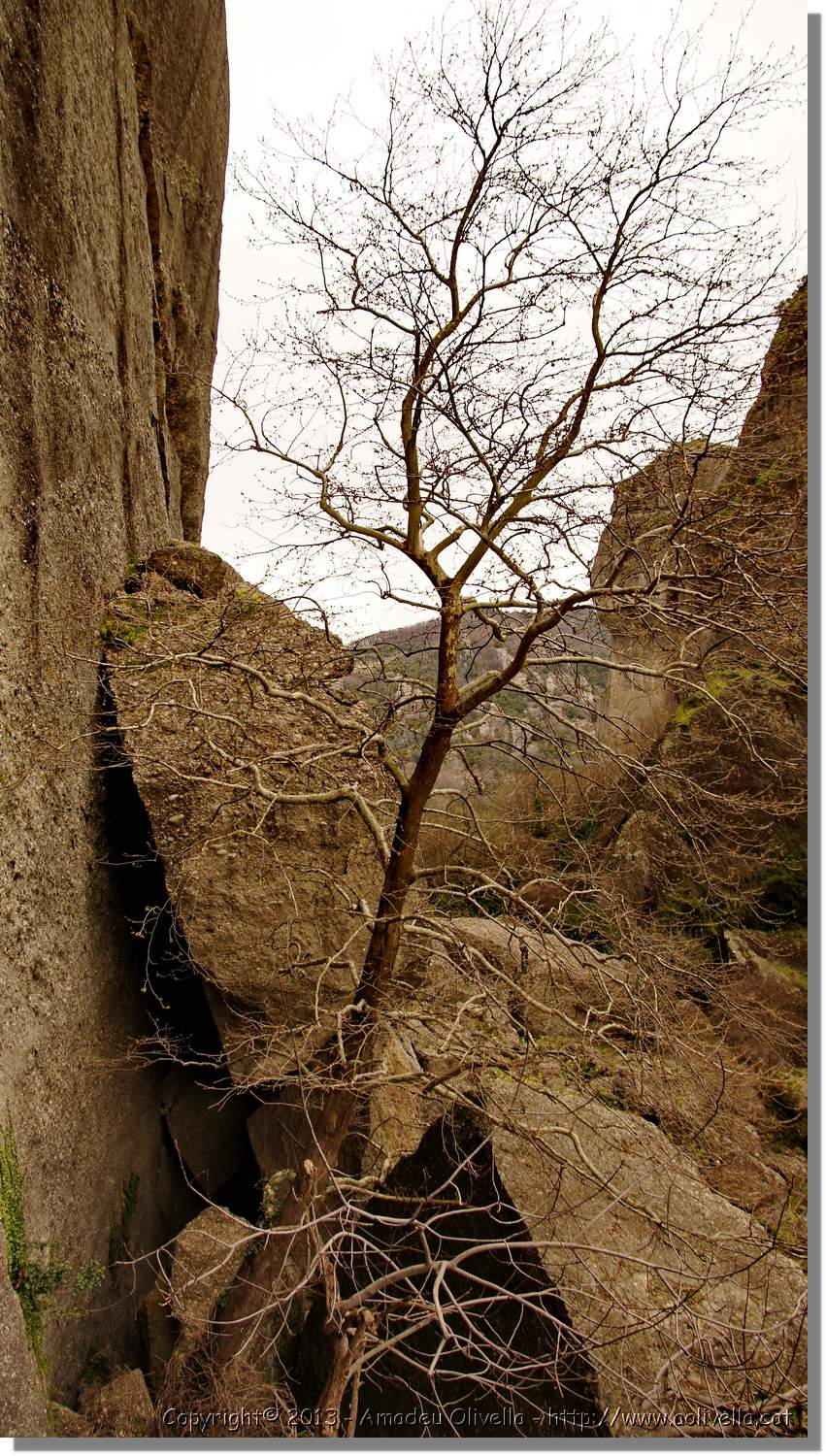 Meteora_264.jpg