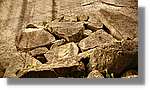 Meteora_261.jpg