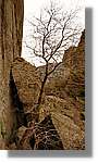 Meteora_264.jpg
