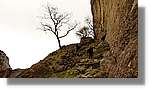 Meteora_266.jpg