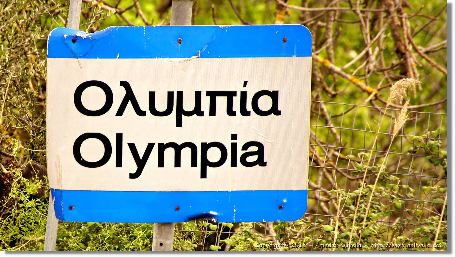 Olympia_100.jpg