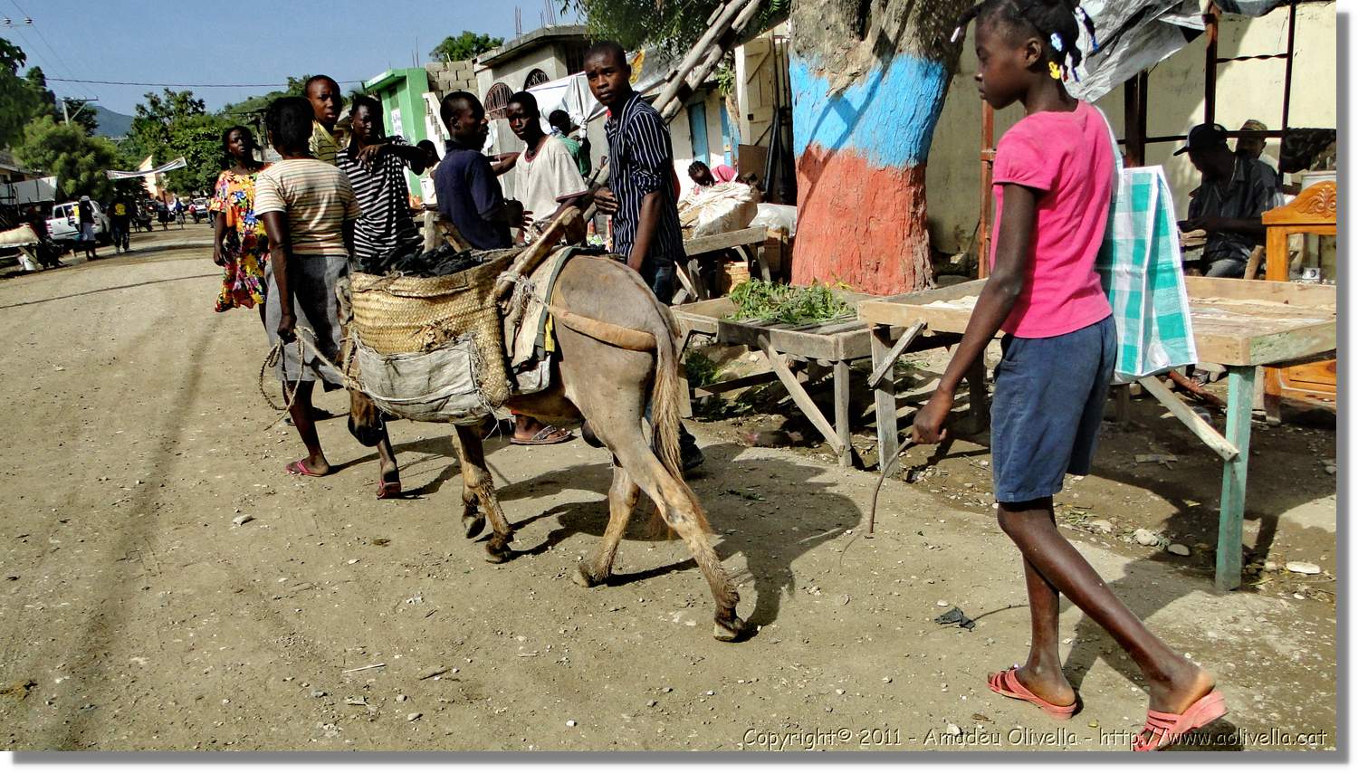 Haiti_489.jpg