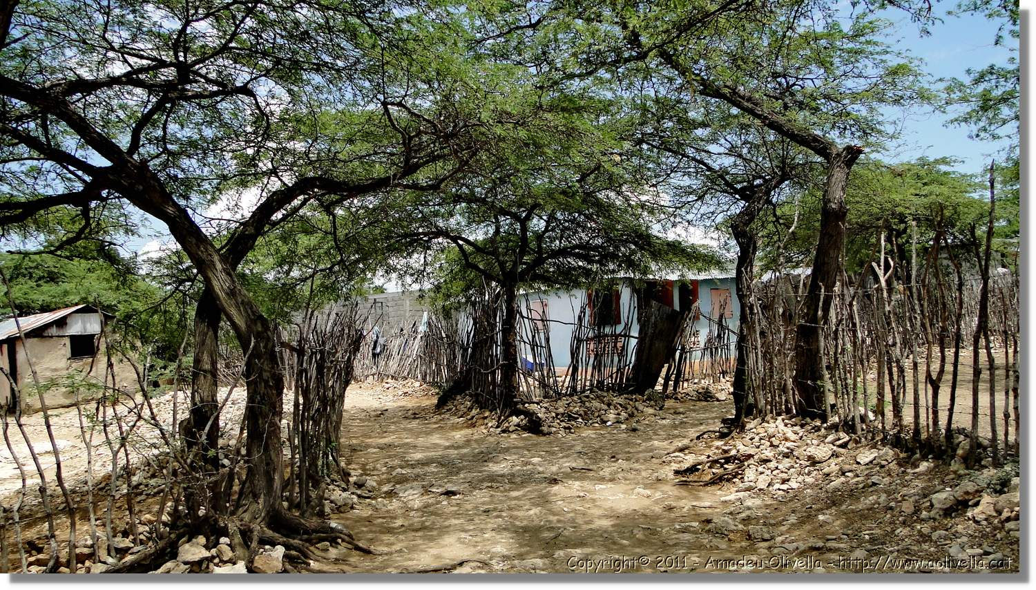 Haiti_751.jpg
