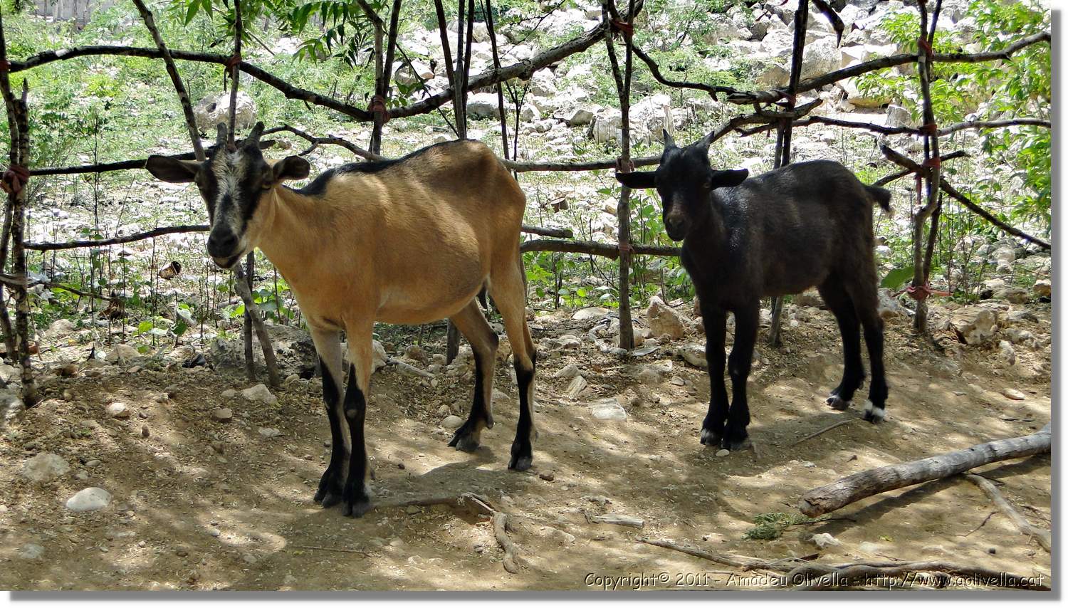 Haiti_756.jpg