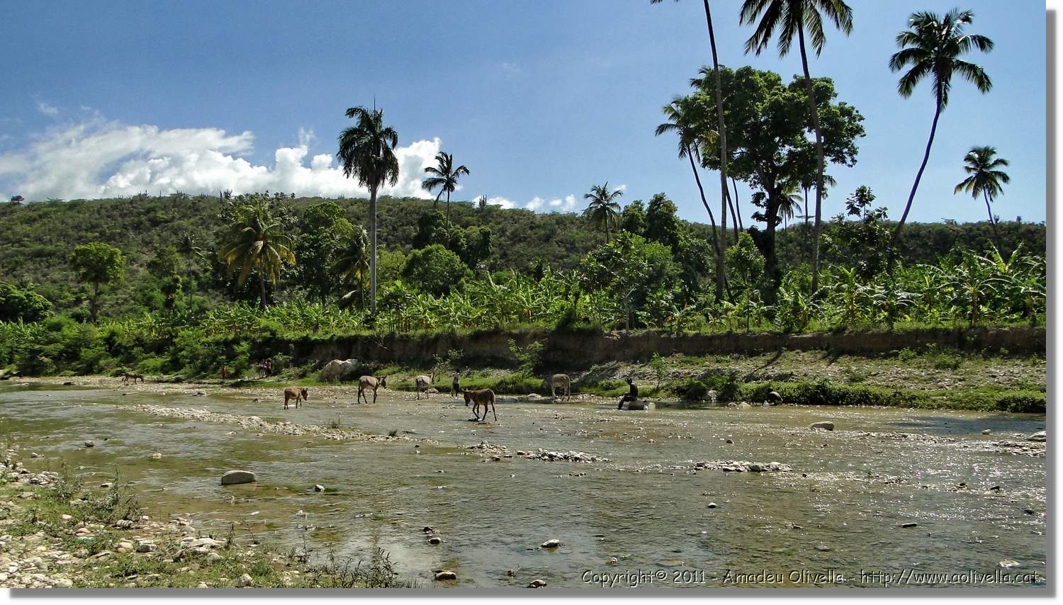 Haiti_793.jpg