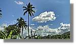 Haiti_796.jpg